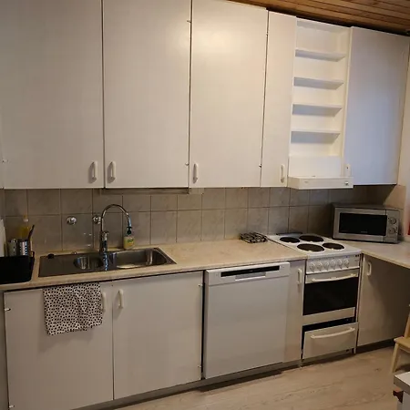 アパート Suuri Isommalle Ryhmaelle / Large For Bigger Group